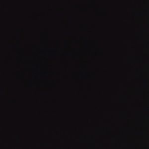 Meet your Posher, Louis